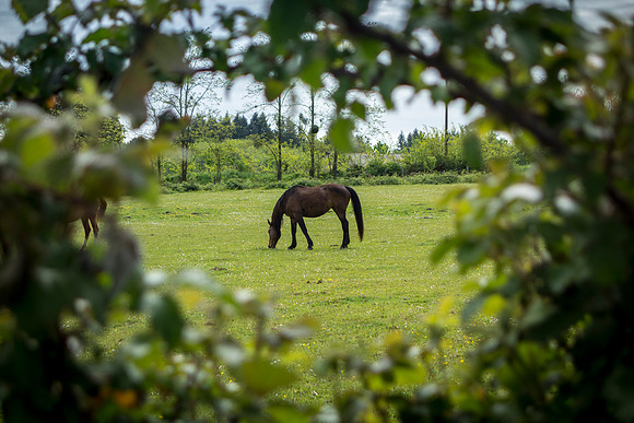 Somewhere in France